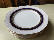 Speiseteller 24cm winterling gebraucht kaufen  Hamburg