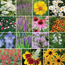 Wildflower mix perennial for sale  Sevierville