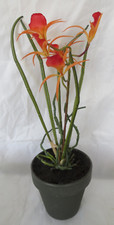 Bloom faux flowers for sale  UK