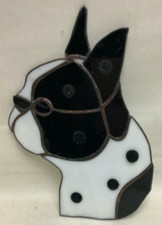 Boston terrier irredescent for sale  Prescott