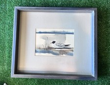 Watercolor seagull original for sale  Laurinburg
