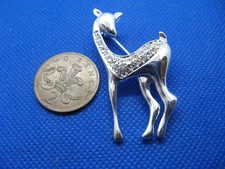 baby deer for sale  BOLTON