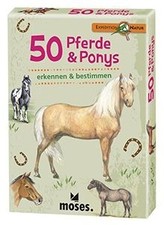Pferde ponys entdecken gebraucht kaufen  Berlin