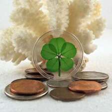 Genuine rare leaf for sale  Saint Petersburg