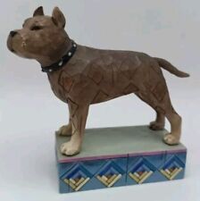 Shore scrappy dog for sale  LIGHTWATER