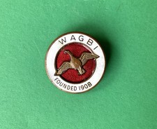 Vintage wagbi enamel for sale  HEREFORD