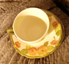 Metlox poppytrail dinnerware for sale  Macon