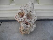 Meerwasser echtes riffgestein gebraucht kaufen  Mainz