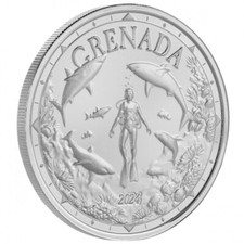 Grenade dollars argent d'occasion  Lesquin