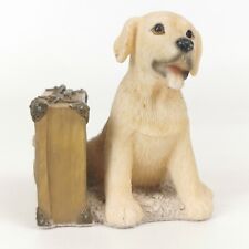 Leonardo collection labrador for sale  HOUGHTON LE SPRING