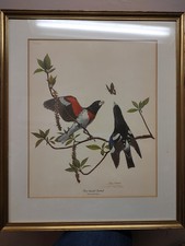 Ray harm rose for sale  Wilmington