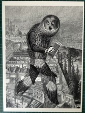 Collector dan hillier for sale  BRISTOL