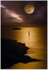 Peter lik perfect for sale  Las Vegas