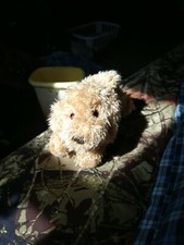 Gund barky puppy for sale  Saint George