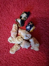 Babykleidung mädchen größe gebraucht kaufen  Schönebeck-Umland