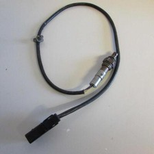 Sonda lambda 55562290 usato  Vajont