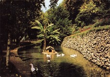 Angouleme jardin vert d'occasion  Expédié en Belgium