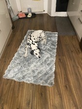 duck egg rug for sale duck egg rug for sale CUMNOCK