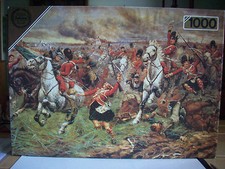 Waterloo carica degli usato  Roma