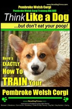 Pembroke welsh corgi for sale  North Smithfield