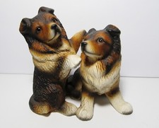 collie border puppy for sale  Hobart