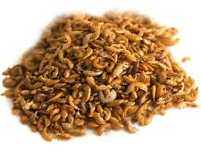 Chubby dried gammarus for sale  MIRFIELD