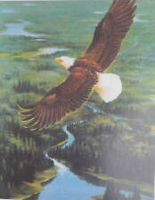 Eagle flying birds for sale  Ahsahka