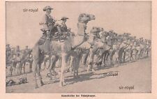 Cavaliere cammelli forza usato  Spedire a Italy
