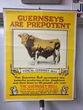 1920s golden guernsey for sale  North Wilkesboro