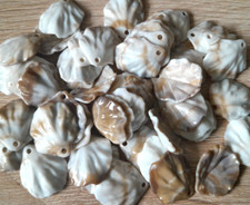 Acryl muscheln loch gebraucht kaufen  Bremen