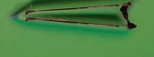 leki nordic walking gebraucht kaufen  Essen