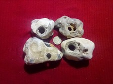 Large assorted hag for sale  CHRISTCHURCH