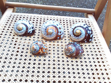 South african polished for sale  GATESHEAD