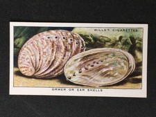 1938 wills sea for sale  Annandale