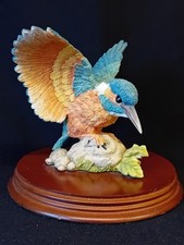 Leonardo nature studies for sale  UCKFIELD