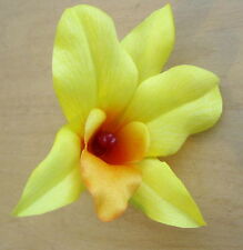 Yellow lemon orange for sale  Chandler