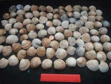 Job lot 100 for sale  COLWYN BAY
