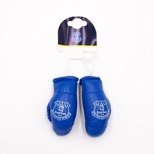 Official everton hanging for sale  WARRINGTON