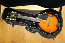 Gewa tennessee instrument gebraucht kaufen  Engelthal
