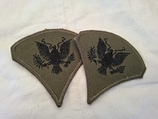Rangabzeichen specialist green gebraucht kaufen  Wilthen