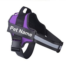 Purple medium dog for sale  LONDON