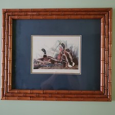 John james audubon for sale  Meriden
