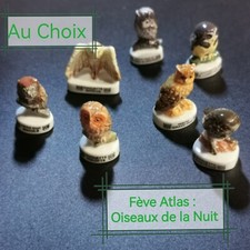 Choix fèves atlas d'occasion  Nouaillé-Maupertuis