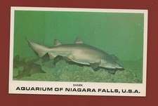 Usa aquarium chutes d'occasion  Nogent