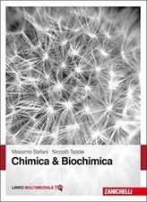 Chimica biochimica zanichelli usato  Roma