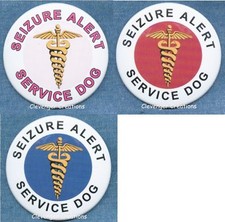 Seizure alert service for sale  Cassville