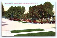 Postcard riverside drive for sale  Bulger