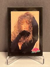 1994 leslee bremer for sale  Elysburg
