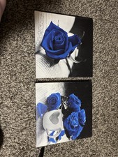 Set blue rose for sale  Hooper