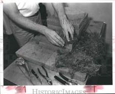 Blocos de fotos de imprensa 1985 de base de forma de isopor para arranjo de flores de musgo seco comprar usado  Enviando para Brazil